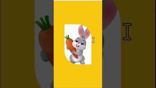 Border Radius using ClipRRect #getknowledge #programming #mobileappdevelopment #flutter