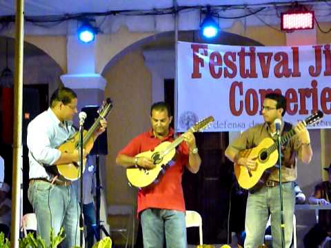 Capullito de Aleli-Ecos de Borinquen