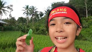 [FULL] NGEBOLANG SERU MENARI DI PANJALU | BOCAH PETUALANG (28/11/22)