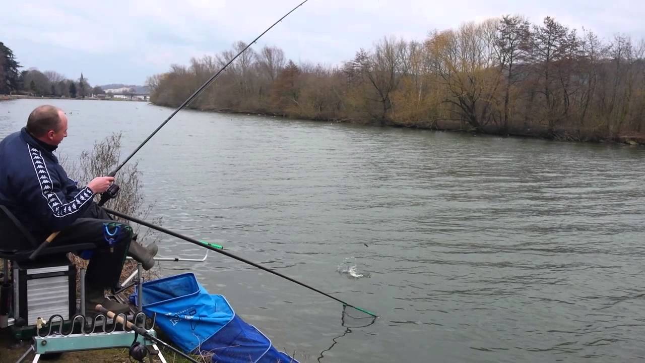 Meuse Feeder Rivers Pêche au feeder en Meuse liégeoise. - YouTube