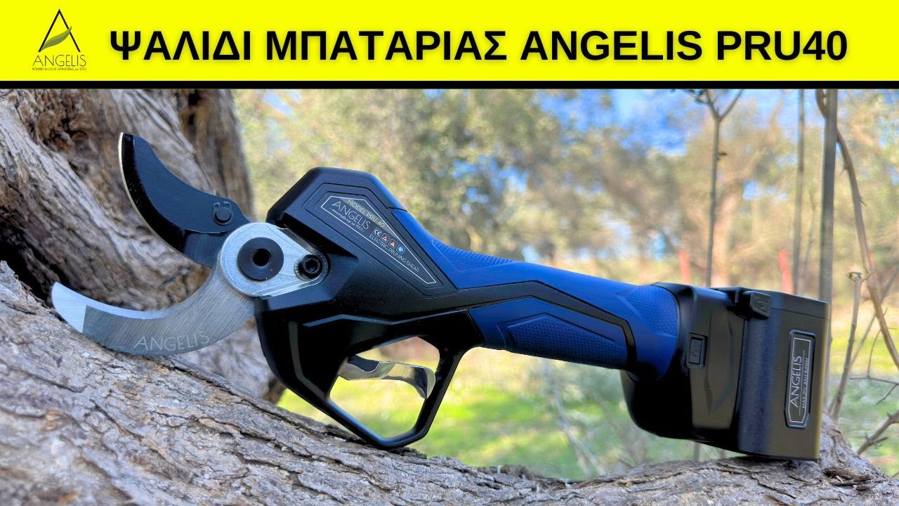 ΨΑΛΙΔΙ ΚΛΑΔΕΜΑΤΟΣ ANGELIS PRU40