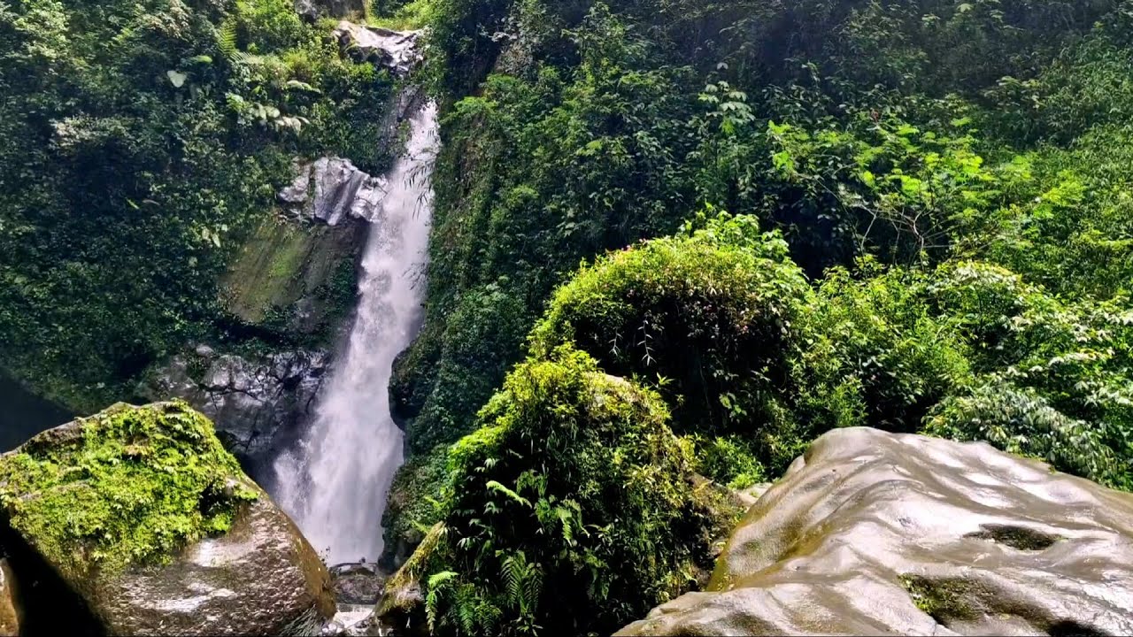 Tranquil River Flow White Noise  ASMR Background