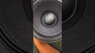 8-15-Inch Paper Cone Speaker | Neodymium Magnet | Pro Audio Driver