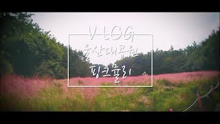 VLOG l 브이로그 태풍 오기 전 핑크뮬리 구경~ 어서와 울산대공원 처음이지