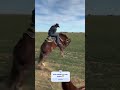 Olha que cavalo que pula bonito hein 😱😳 #pecuarista #fazenda #gado #agro #shortsviral #cavalo