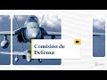 Comisión de Defensa - 11/06/2024