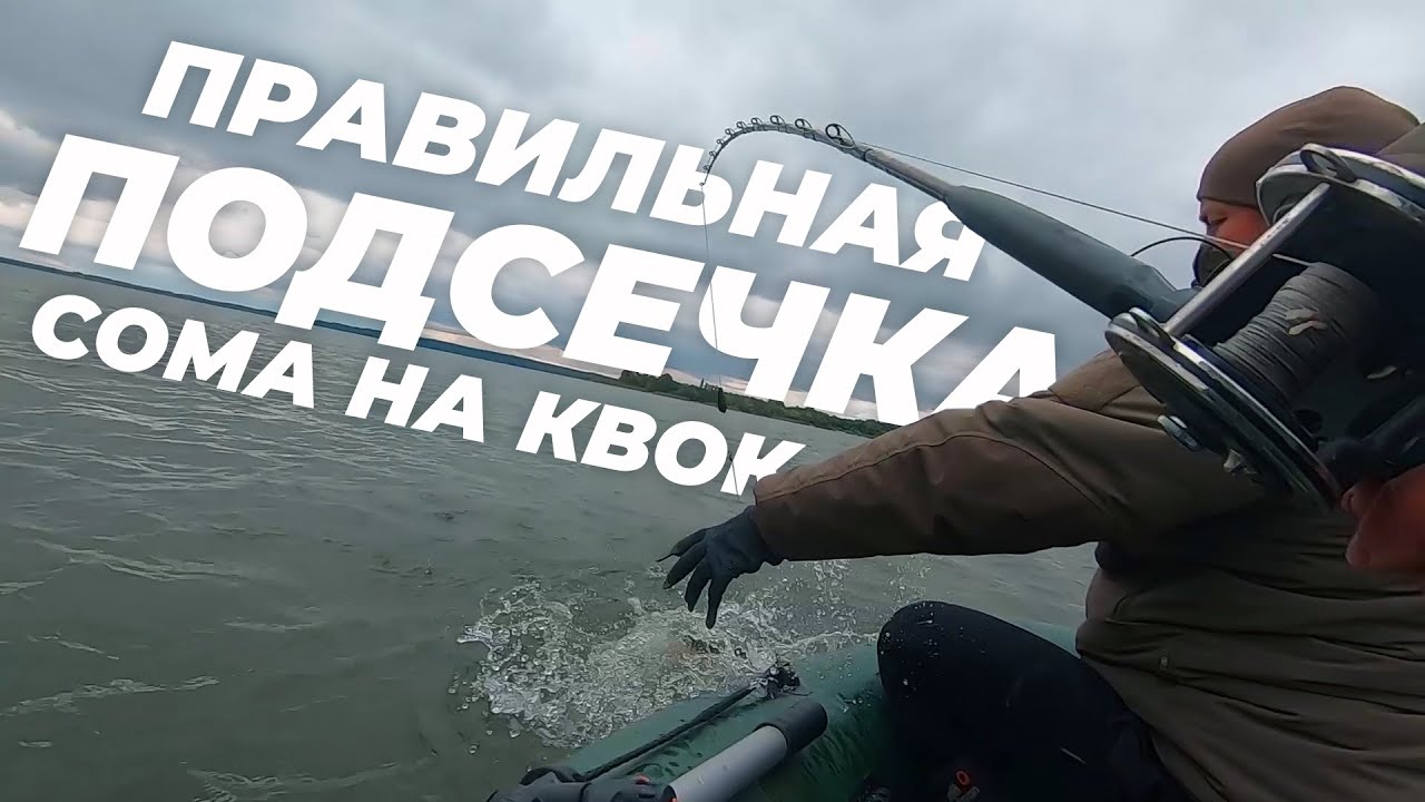 Правильная подсечка сома при ловле на квок
