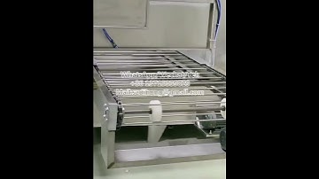 Online reciprocating spray painting machine, auto spray coating system for plastics & silicone, inte