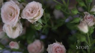 Teaser Christening | Aggeliki