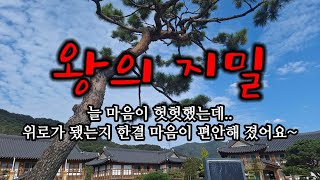 [한국여행] 전주 최고의 한옥호텔 "왕의지밀" / 전주한옥마을 / 전주 맛집