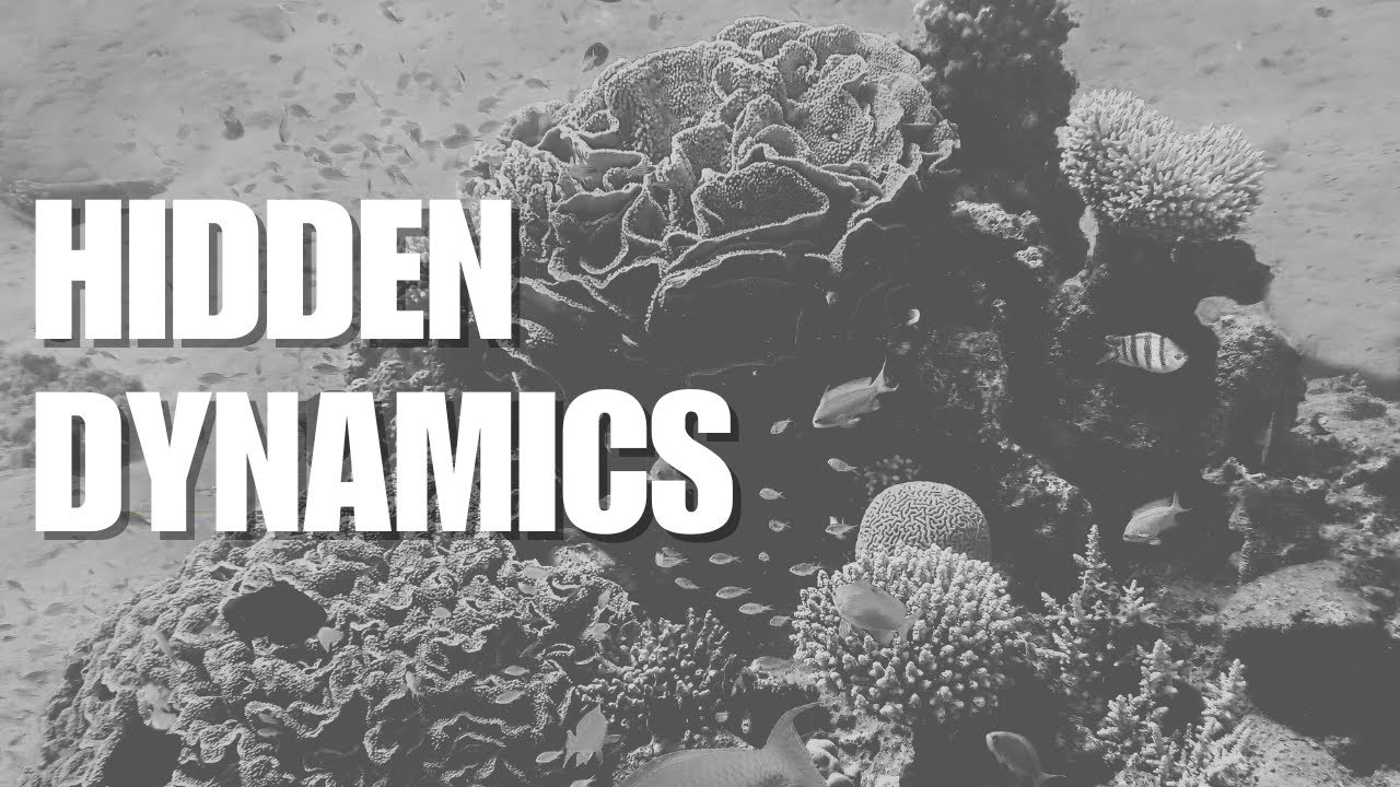 How to See the Hidden Dynamics Shaping Everything