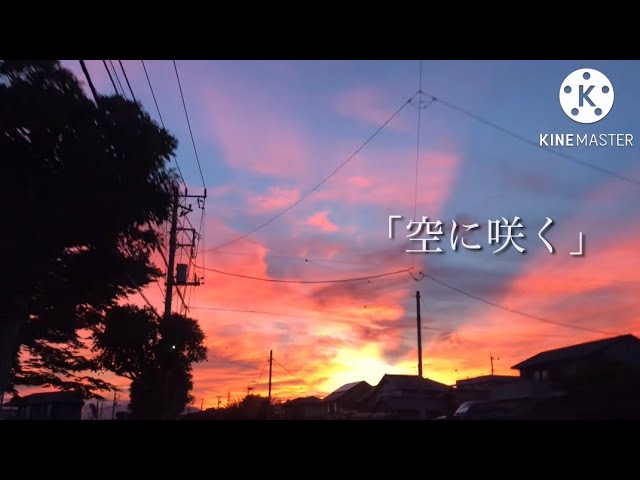 MV】空に咲く/オリジナル - YouTube
