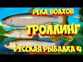 русская рыбалка 4 - Троллинг река Волхов - рр4 фарм Алексей Майоров russian fishing 4