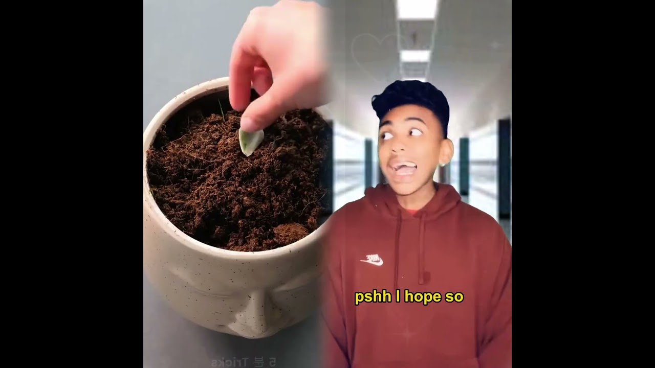 032012_博主17 (21)-001