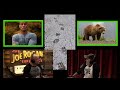 David Goggins Spotted Grizzly Bear Tracks While Smokejumping