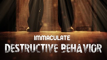 IMMACULATE - Destructive Behavior (Official Music Video HD)