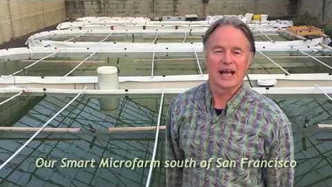 Spirulina Smart Microfarm • Robert Henrikson • 2018