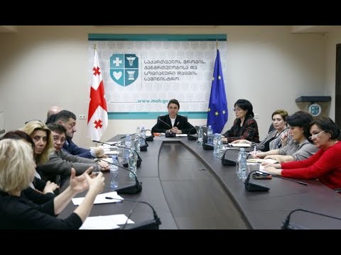 სამუშაო ჯგუფის შეხვედრა ფსიქიკური ჯანმრთელობის სტრატეგიაზე