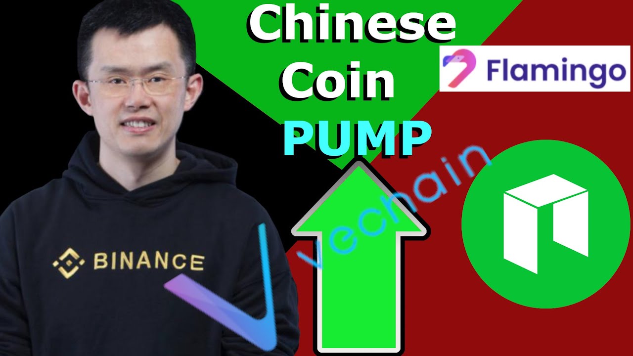 Chinese Cryptocurrency To Buy: Binance Coin, Vechain, Neo Crypto, Flamingo Finance, $BNB, $VET, $FLM