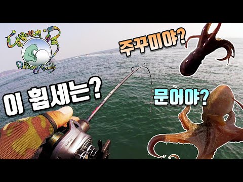 경기도 <strong>화성시</strong> <strong>전곡항</strong> 주꾸미 선상낚시