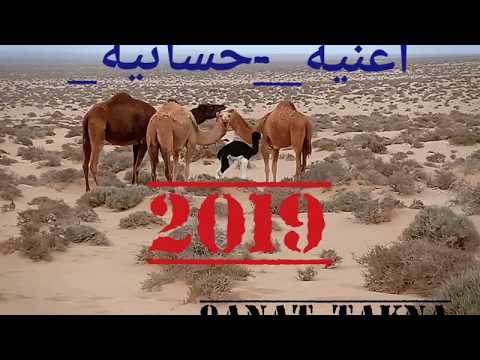 أفضل اغنية حسانية صحراوية على الاطلاق 2019