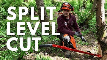 How To Cut A Back Leaning Tree - Felling Techniques Explained
