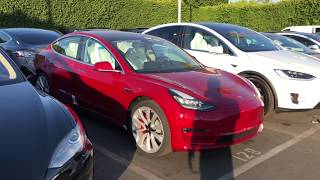 Tesla Performance Model 3 - P3D - Buena Park, CA