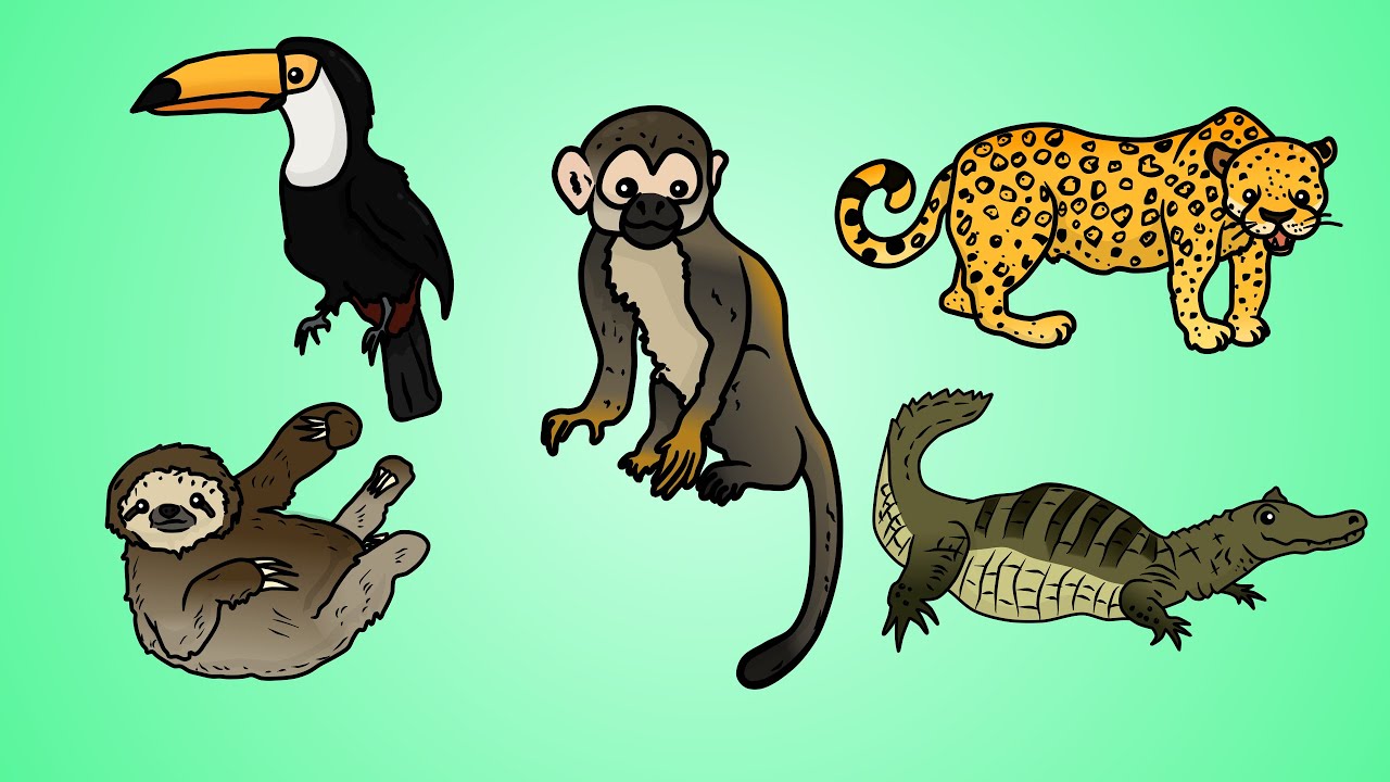 Draw Five: How to Draw Jungle Animals - YouTube