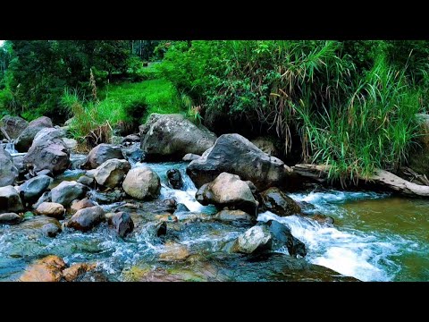 Tranquil River and