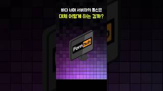 지구 반대편 서버와 통신하는 방법