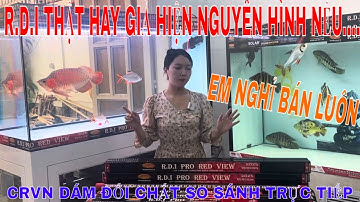 🔴PHUKIENCARONG.VN | ĐÈN R.D.I THẬT HAY GIẢ? CHỈ CẦN BÊN CRVN DÁM NHẬN LỜI GẶP SO SÁNH TRỰC TIẾP