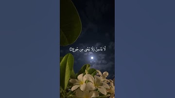 سورة الغاشية - الشيخ ماهر المعيقلي | Quran Karim