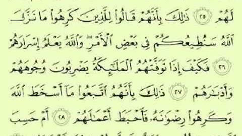 سورة محمد القارئ ماهر المعيقلي الوجه الثالث والرابع