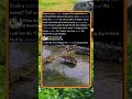 The Apex Predator Born Without An ENGINE! 🐊 #Nature #Wildlife #Science