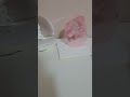 奥村愛子さんの曲、わたしはずるいをアカペラで歌ってみた