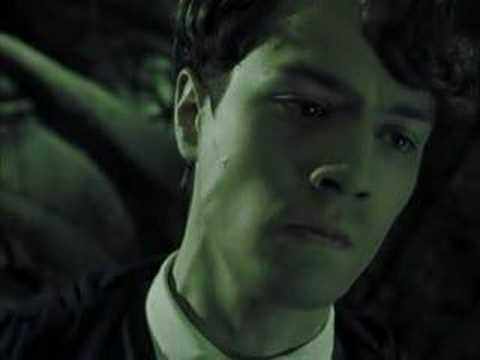 Bury Me (Harry/Voldemort) - ("The Kill")