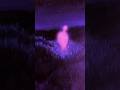 Ultraviolet #glow #quiettime #ultraviolet