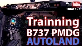 B737Ngx Catii Trainning 2 Vmc