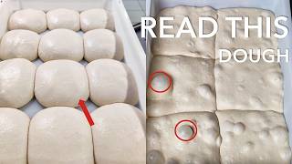 What your DOUGH BALL is telling you (before you even touch it)