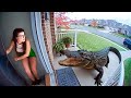 That Really Happened in People's Backyards
