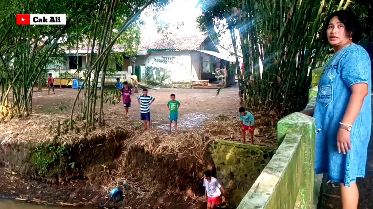 BIKIN RINDU ‼️ BEGINILAH SUASANA SORE DI PEDESAAN TRISNOGAMBAR, JEMBER JAWA TIMUR INDONESIA