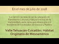 Última semana de Endemismo en el MUPO 2018