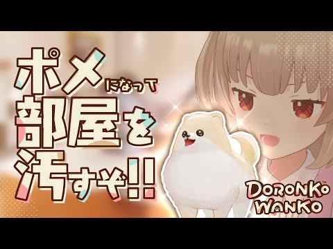 【DORONKO WANKO】はいこちら最強ポメラニアン