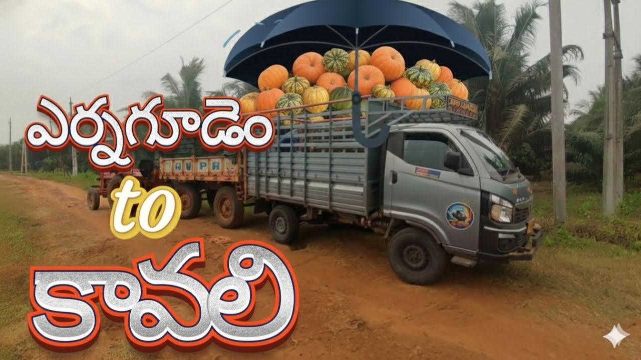 Rajahmundry to kavali pumpkin🍈 transport #INTRA