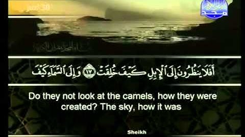 سورة الغاشية كاملة الشيخ أبو بكر الشاطري