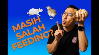 Proper Feeding for Ball Pythons | Mouse vs. Rat vs. ASF + Complete Feeding Schedule screenshot 4