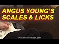Angus Young's - Scales & Licks
