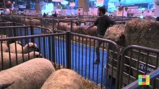 Une journée au Salon International de l'Agriculture...Vendredi 27 février 2015