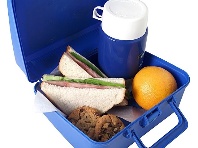 9 Best Adult Lunch Boxes for Going Back to the Office - aSweatLife