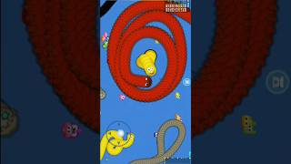 Worms Zone.io Worm Hunt -Battle Arena Snake 🐍 Gameplay Big Snack Game #wormszone #shorts screenshot 3